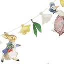 Pack Premium Party Peter Rabbit & Amigos